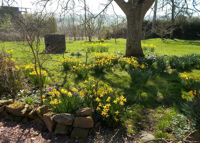 Bed & Breakfast Le Grand Pont 3*